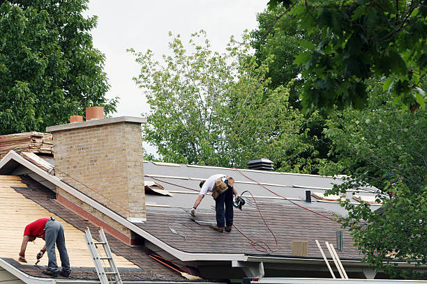 Best Storm Damage Roof Repair  in Skyline, AL