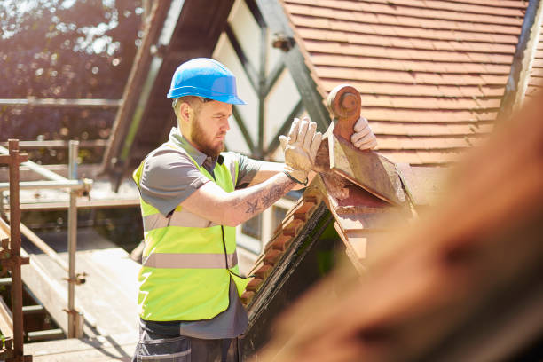 Best Storm Damage Roof Repair  in Skyline, AL